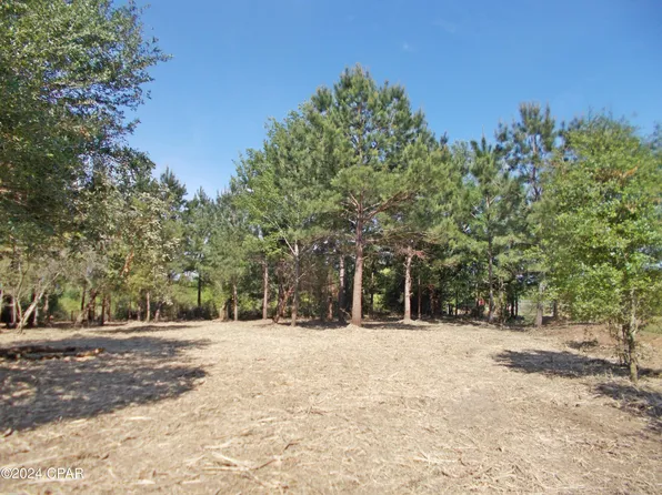 1AC McPherson Dr, Alford, FL 32420