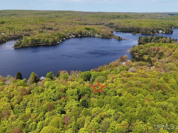 Tbd10 Twin Lakes Rd, Toivola, MI 49965