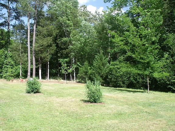 Private back yard