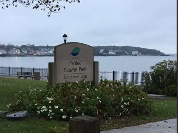 17 Arden St #2, New Haven, CT 06512