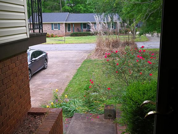 Front yard and driveway