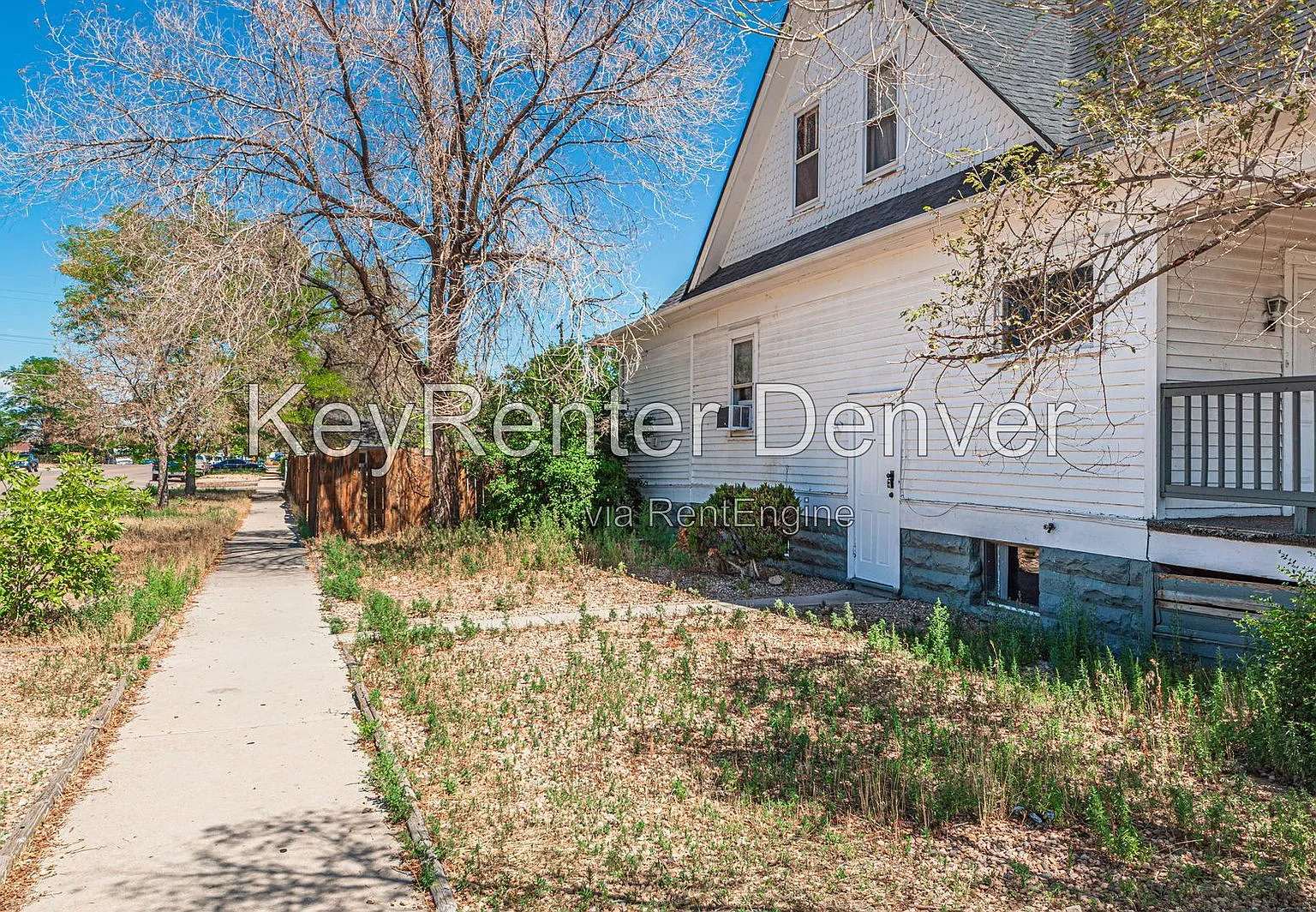 1 bed, 1.0 bath, $800 — Photo 3