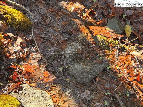 4th image of TBD Horse Bottom Road