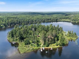 52000 Antler Lake Islan Dr, Bigfork, MN 56628