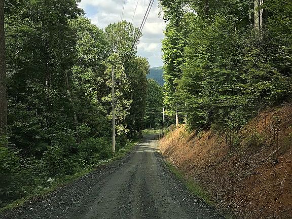 5th image of Alie Ave #5