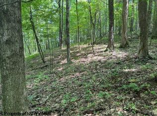 Iron Town Rd, Independence, WV