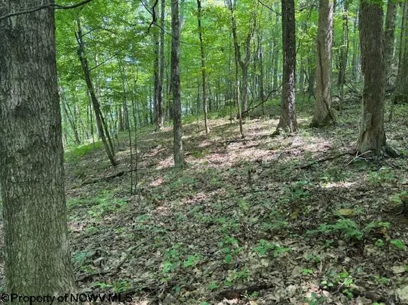 Iron Town Rd, Independence, WV 26374