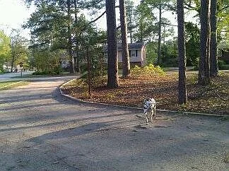 CIRCULAR DRIVEWAY