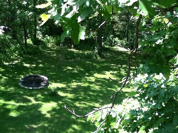 Large fenced backyard