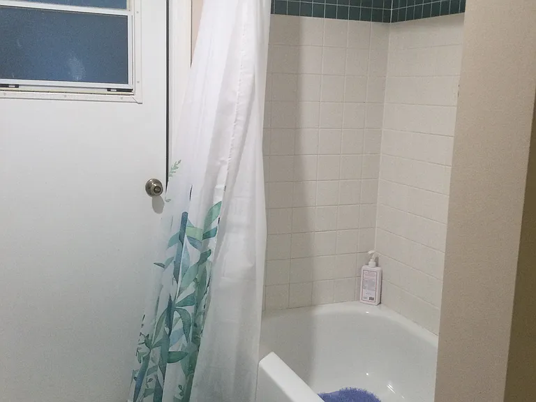 Second bathroom, shower and exit door to Florida room.