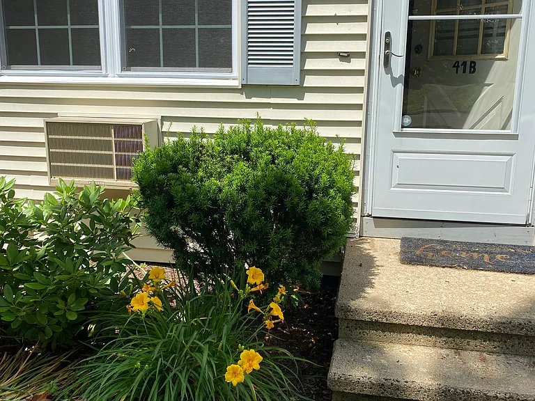 41 Crystal Ln #B — Photo 19