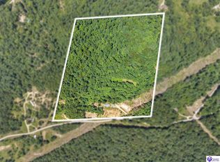 2088 Pine Ridge Rd, Battletown, KY 40104