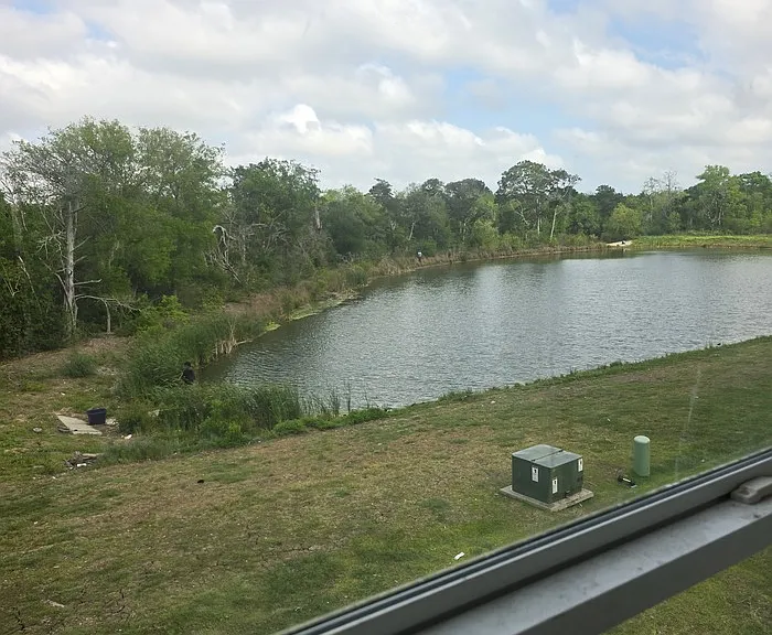 6311 White Oak Dr — Photo 14
