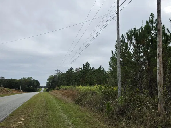 0 Benny Sharp Rd, Hawkinsville, GA 31036