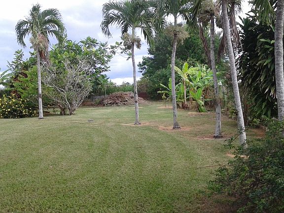 Back yard