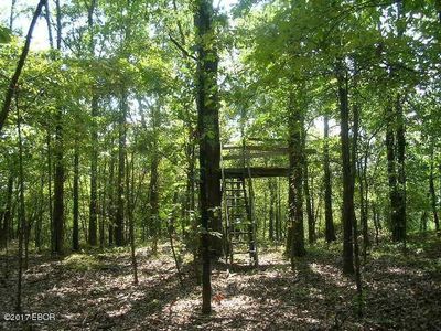 Tbd Old Salt Trl, Stonefort, IL, 62987