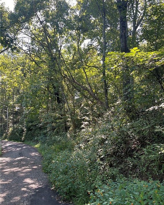 229 Rebel Ridge Rd, Glenwood, WV 25520 Zillow