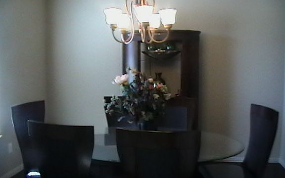 5th image of 1745 White Falls Dr