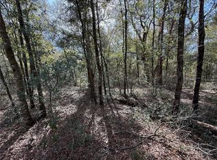 NE 80th St Lot 28, Bronson, FL 32621