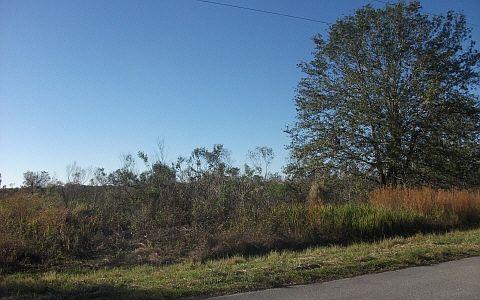2nd image of 127 Cracker Ln