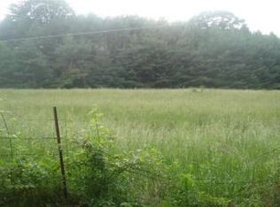 LOT 13 Sink Valley Rd, Butler, TN 37640