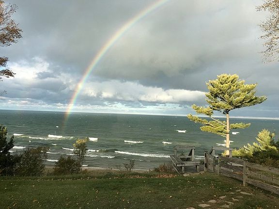 View from patio