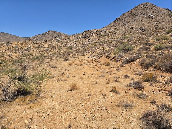 4th image of 0000 Smoketree