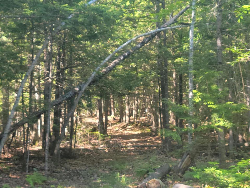 154 Etna Pond Lane, Carmel, ME 04419 Zillow