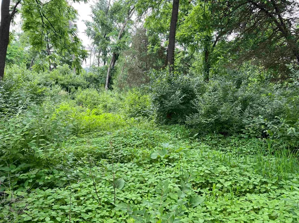 30933 Slow Ln, Lone Rock, WI 53556