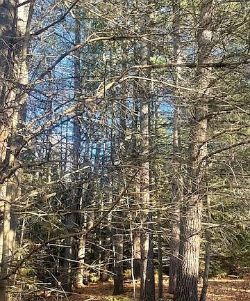 4th image of W 638th Hwy
