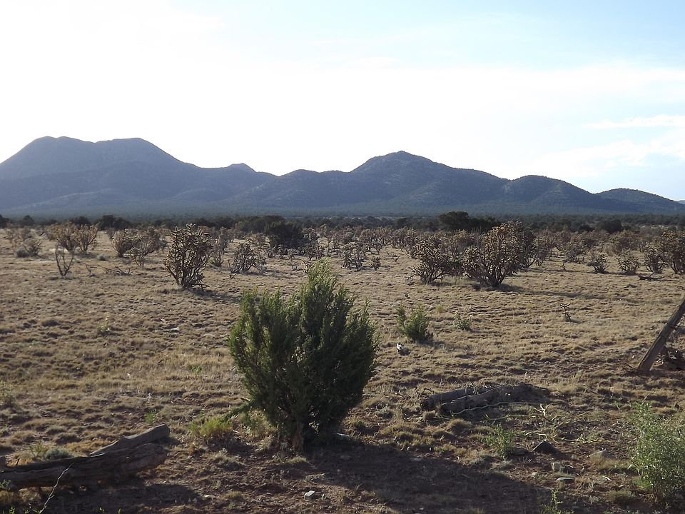 1st image of 1170 State Road 344