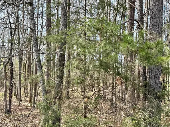 Pioneer Ln W Lot 7, Hatfield, AR 71945