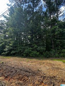 Sandy Dr #69, Mc Calla, AL, 35111