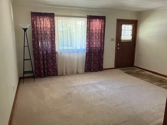 4541 Peek Trl — Photo 6