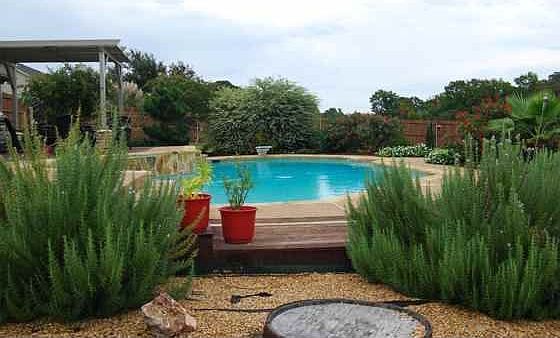 Pool with Landscaping