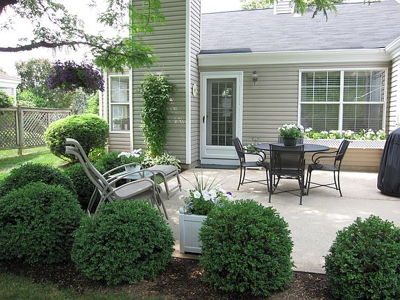back yard