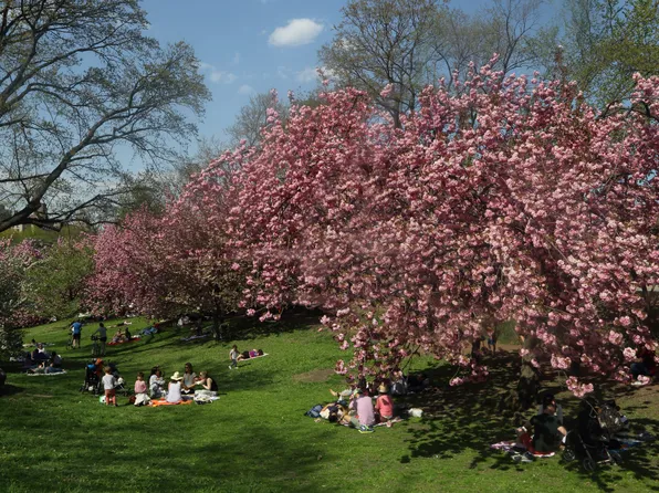 101 West 55th Street image 13 of 15