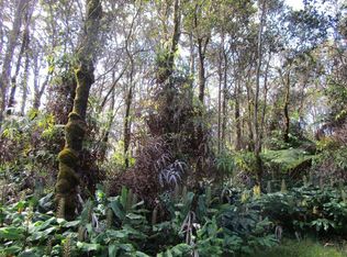 7th St LOT 635, Volcano, HI 96785