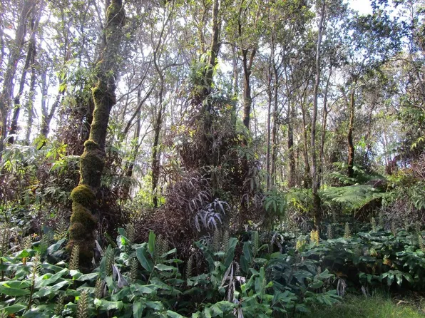 7th St Lot 635, Volcano, HI 96785