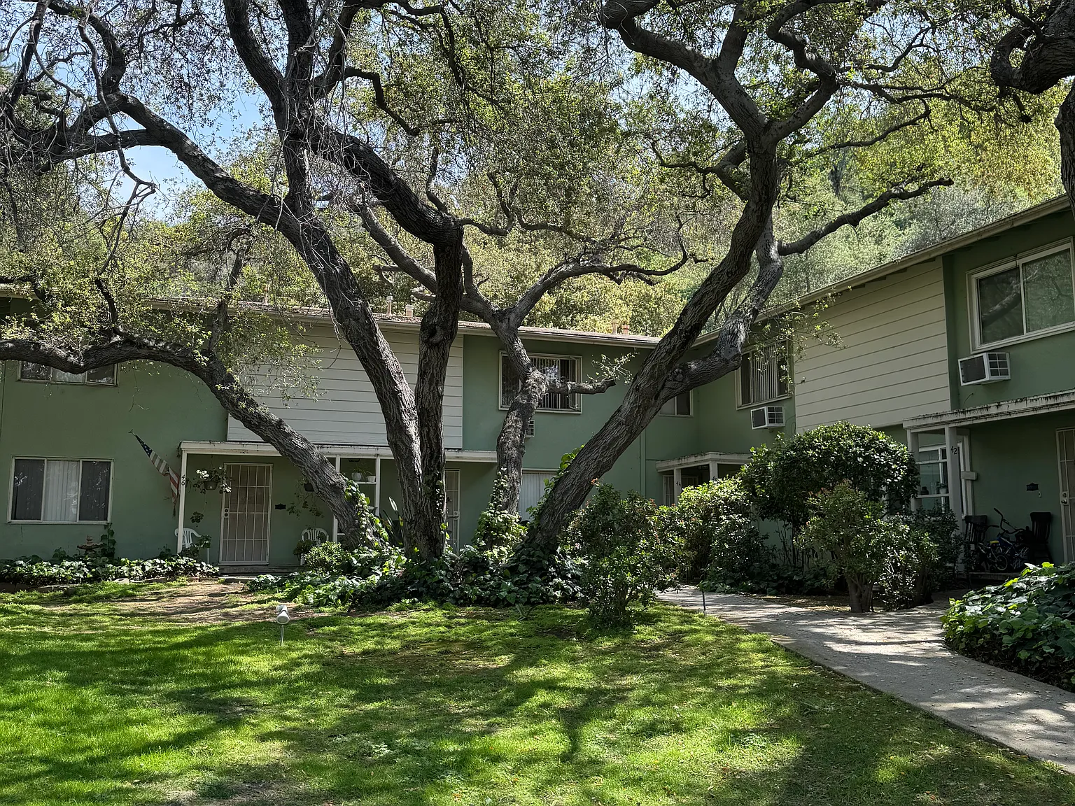 Verdugo Verde — Photo 2