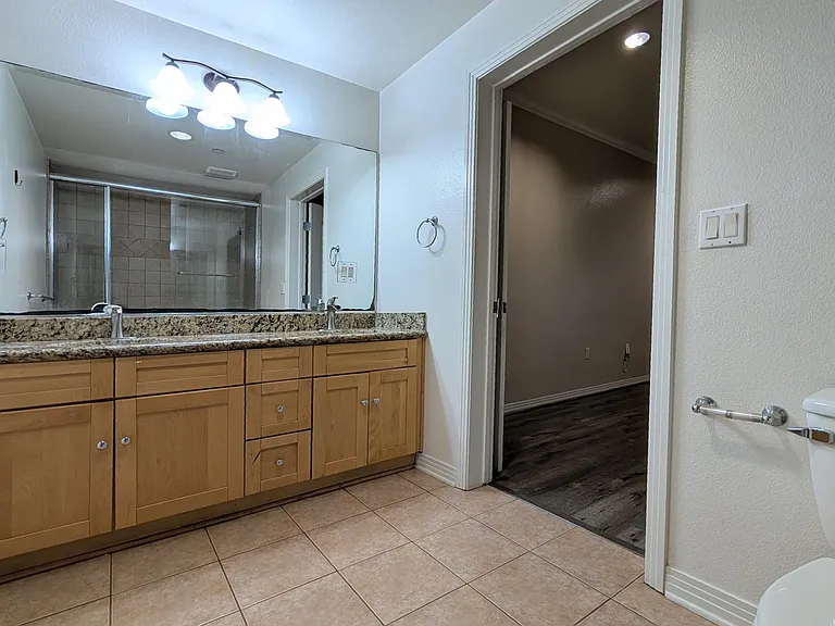 Primary Bath Vanity