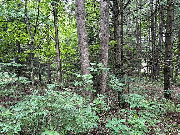 5th image of Route 286 Hwy E