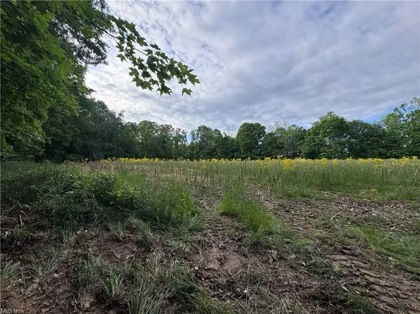 10.530 Walker Hill Rd #10.530 ac, Stockport, OH 43787