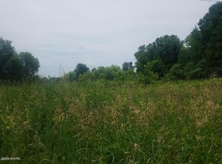 164 E Peck Lake Rd, Ionia, MI 48846