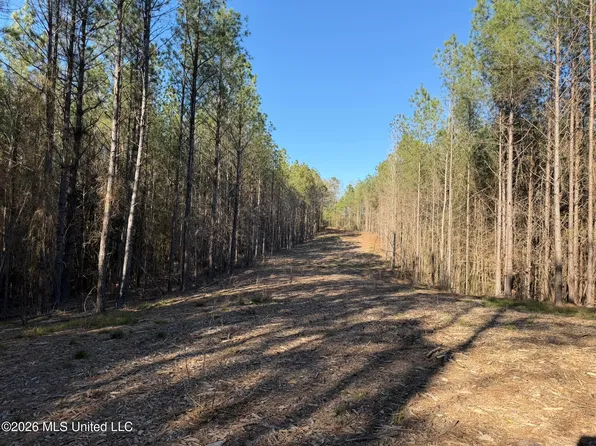 County Road 5005, Kosciusko, MS 39090