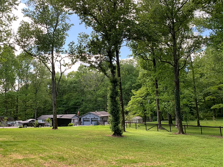 Backyard view (minus added fence).