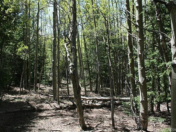 5th image of 1737 County Road 12