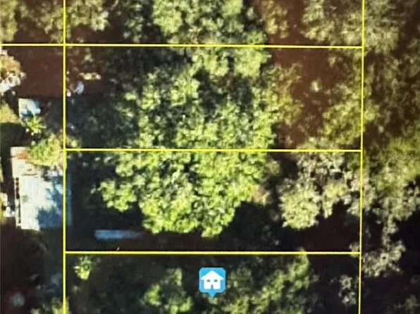 LOT #6 LOT 6, LAKE PANASOFFKEE, FL 33538