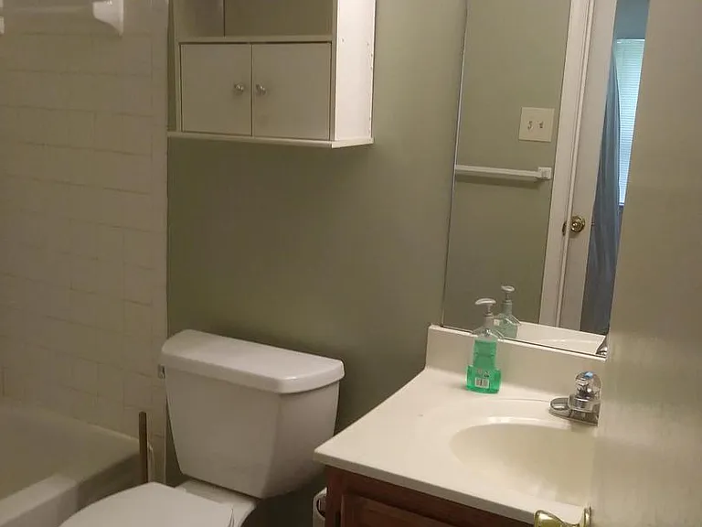 14201 Woolen Oak Ct #10-32 — Photo 14