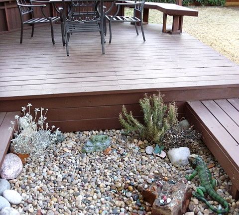 Rock Garden